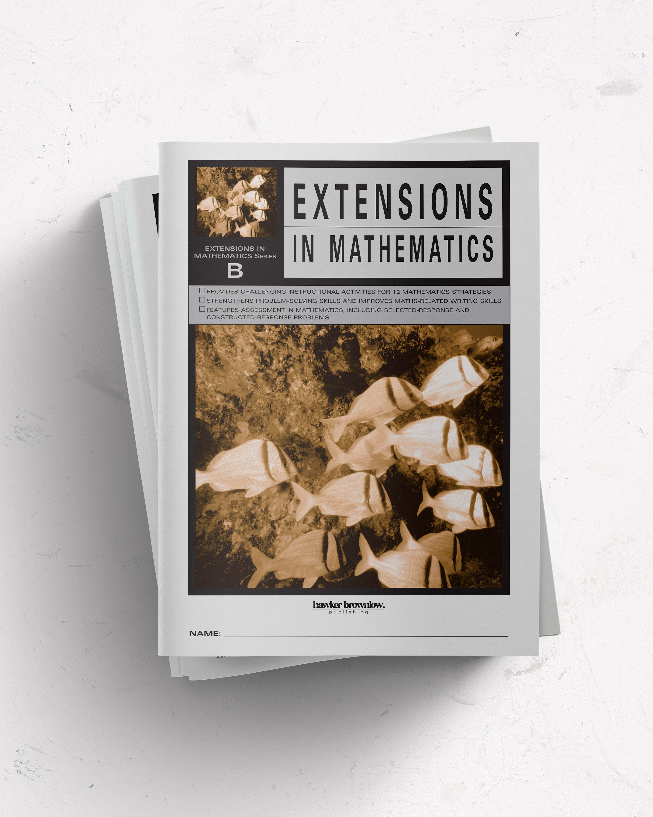 Extensions in Mathematics: Level B Student Book (Pack of 5) – Hawker ...
