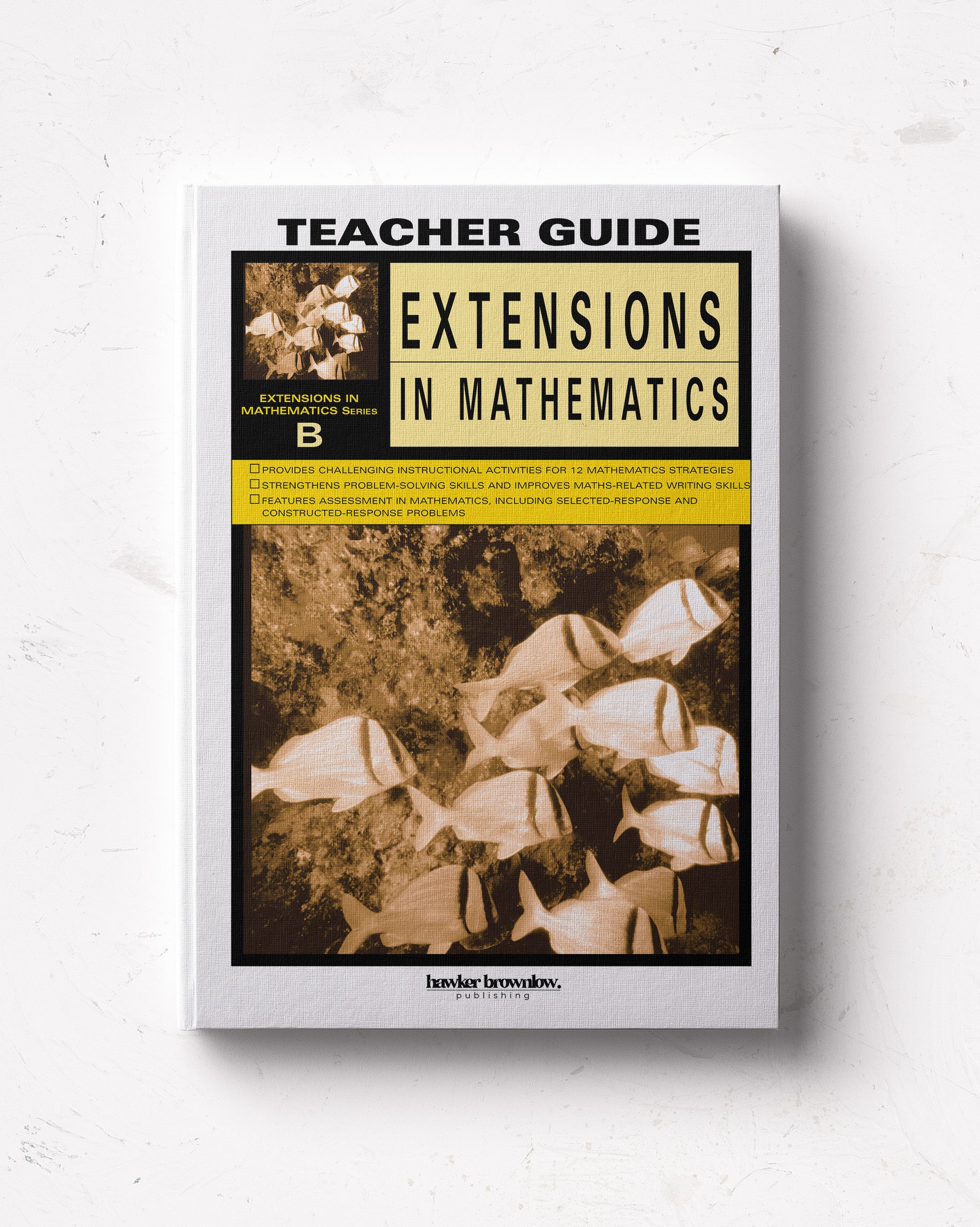 Extensions in Mathematics: Level B Teacher Guide – Hawker Brownlow ...