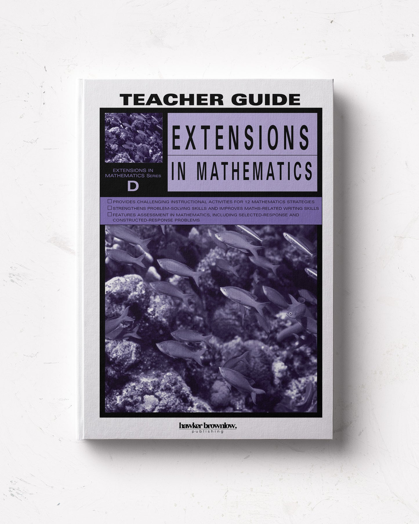 Extensions in Mathematics: Level D Teacher Guide