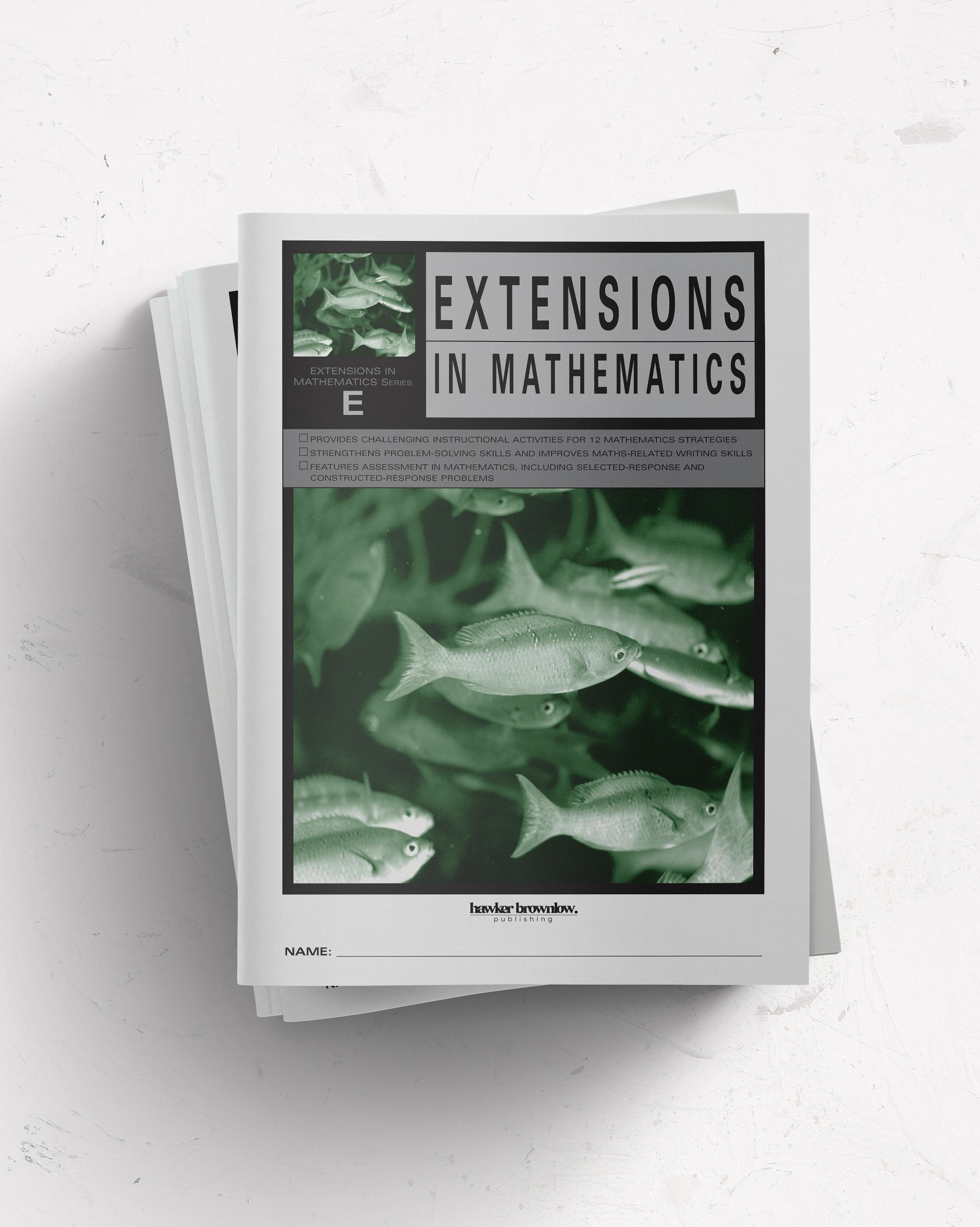 Extensions in Mathematics: Level E Student Book (Pack of 5) – Hawker ...