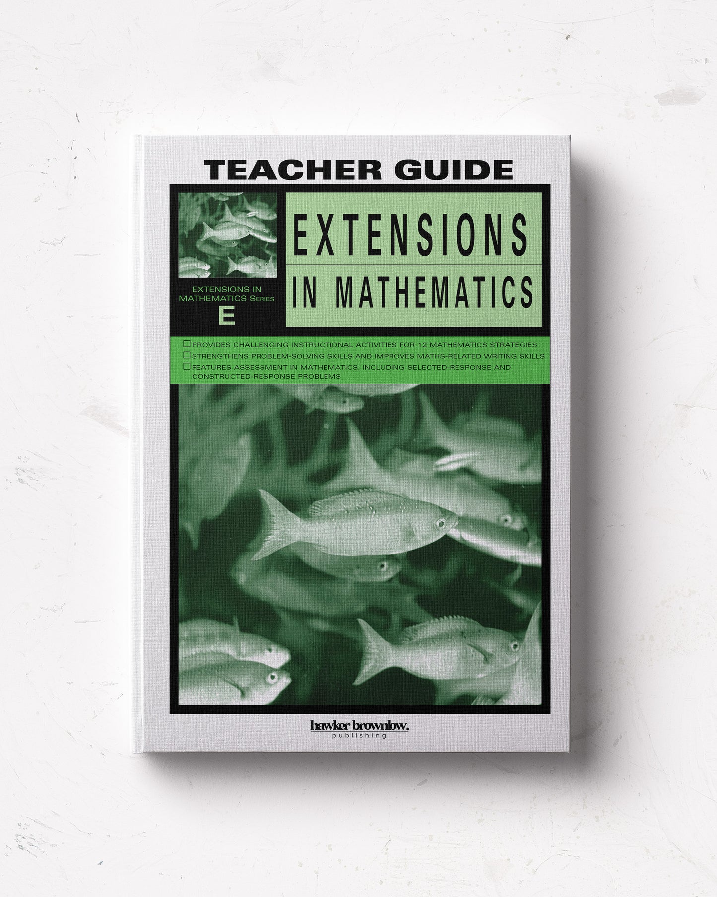 Extensions in Mathematics: Level E Teacher Guide