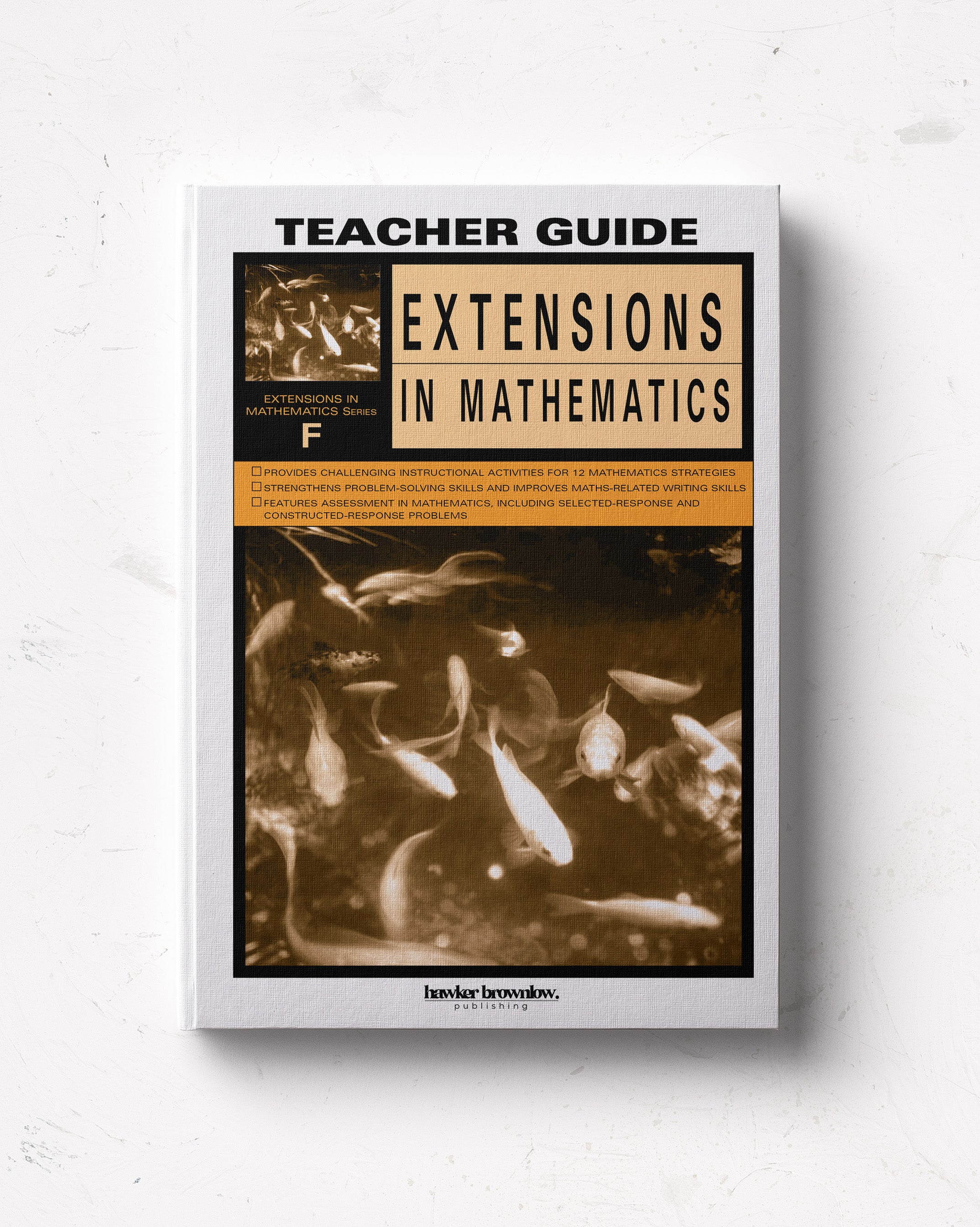 Extensions in Mathematics: Level F Teacher Guide – Hawker Brownlow ...