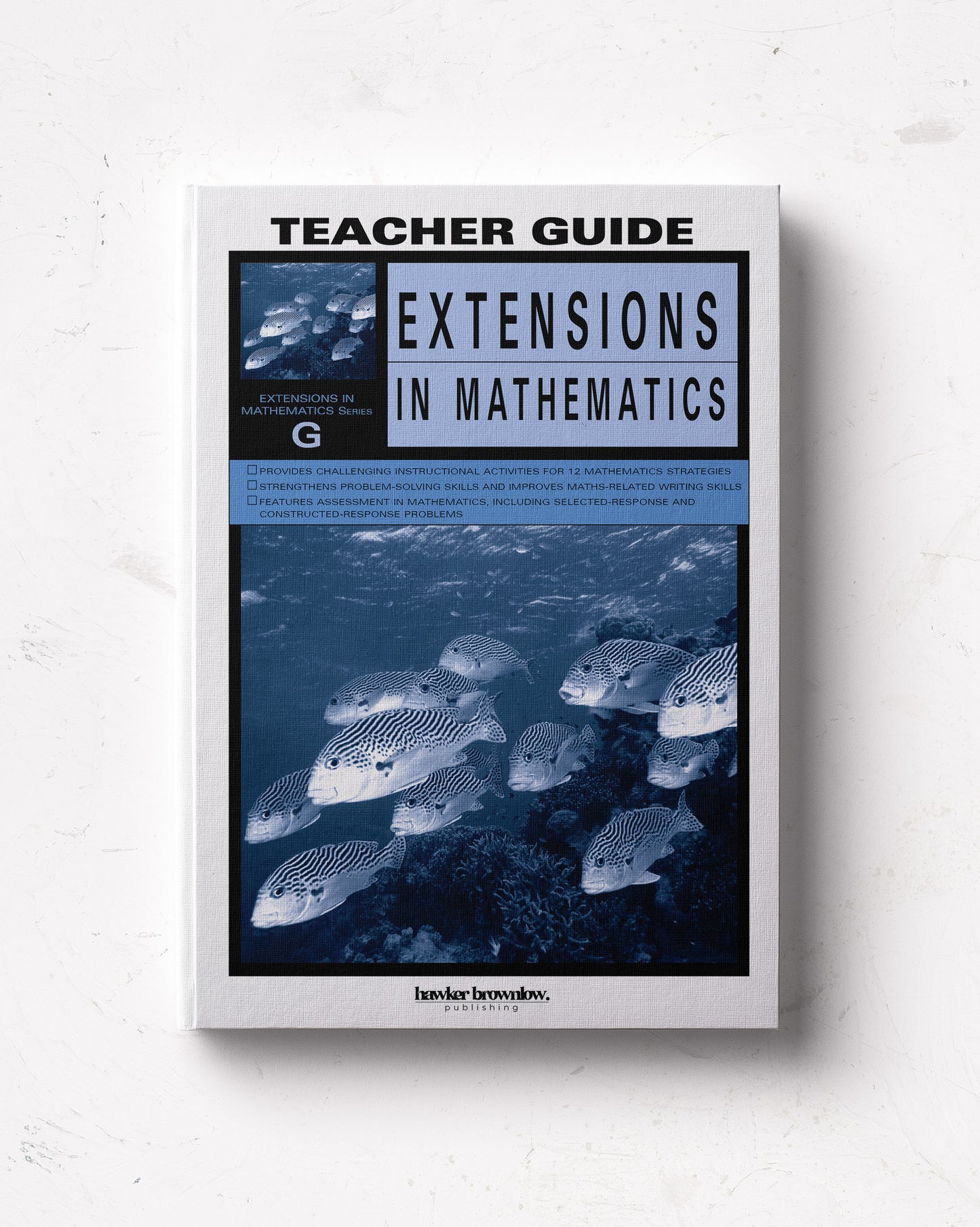 Extensions in Mathematics: Level G Teacher Guide