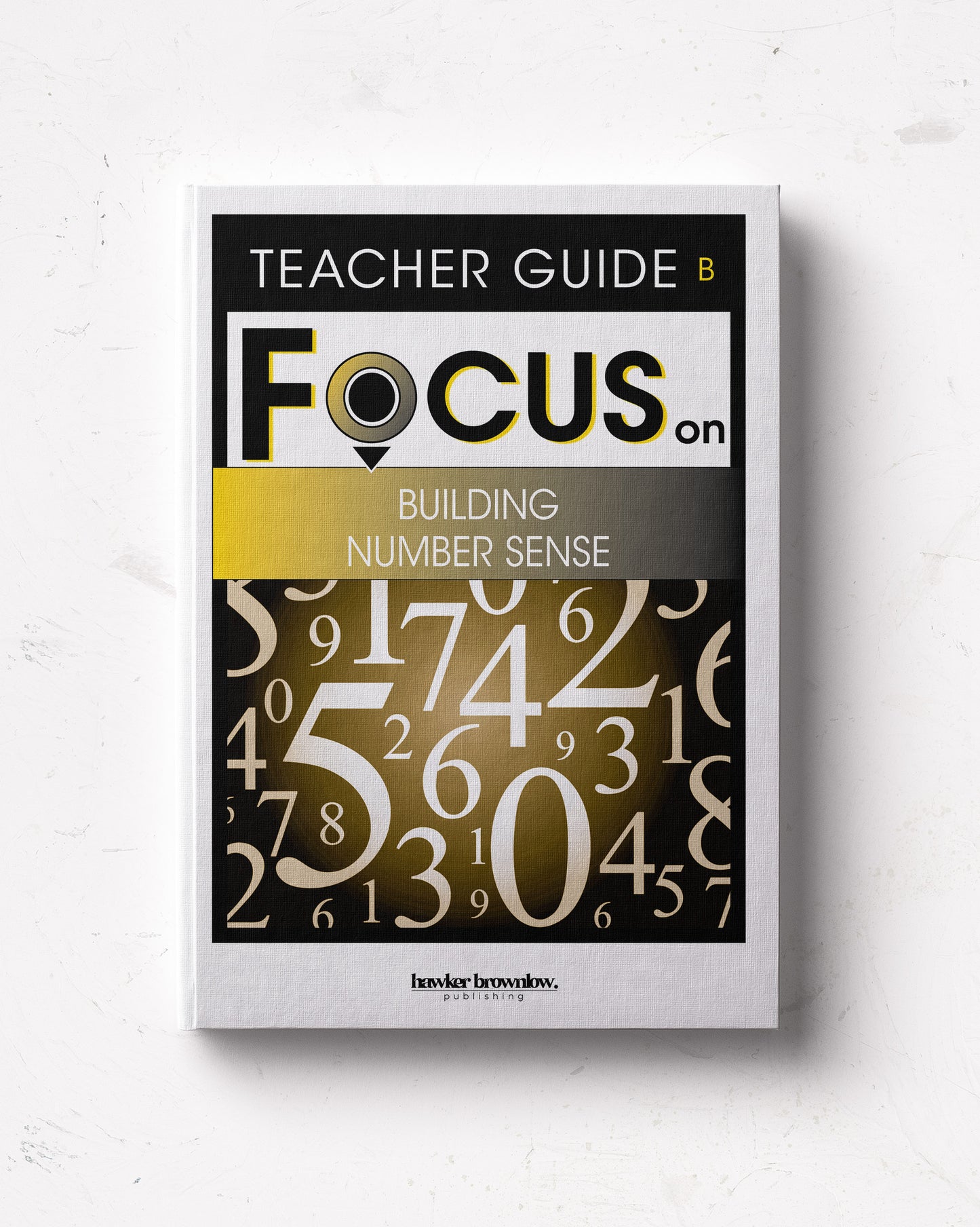 FOCUS on Mathematics: Level B (Building Number Sense) Teacher Guide