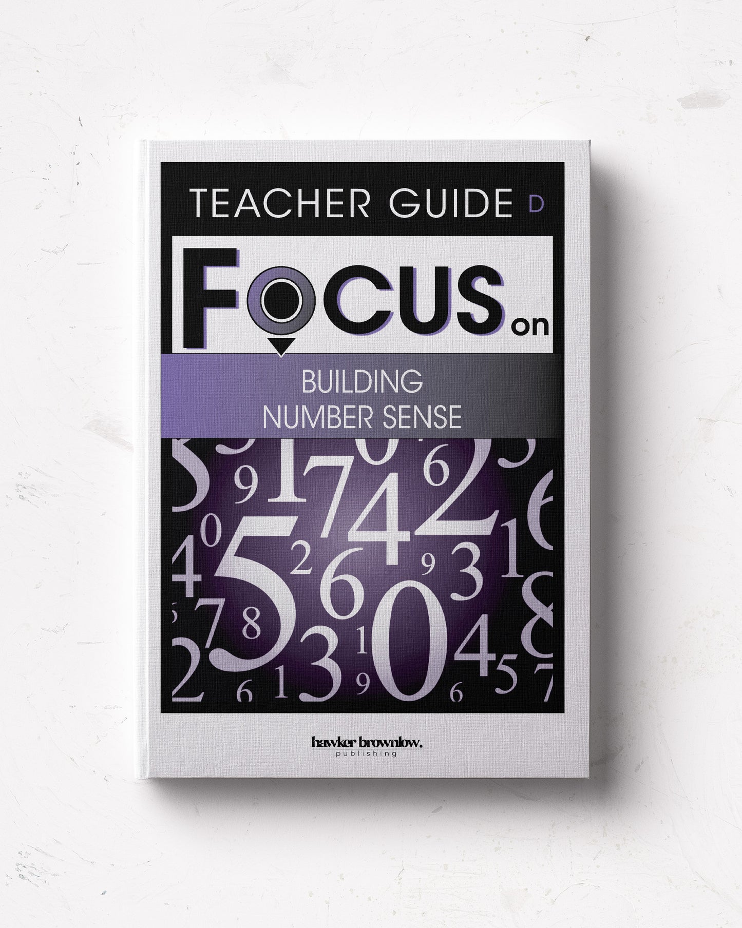 FOCUS on Mathematics: Level D (Building Number Sense) Teacher Guide