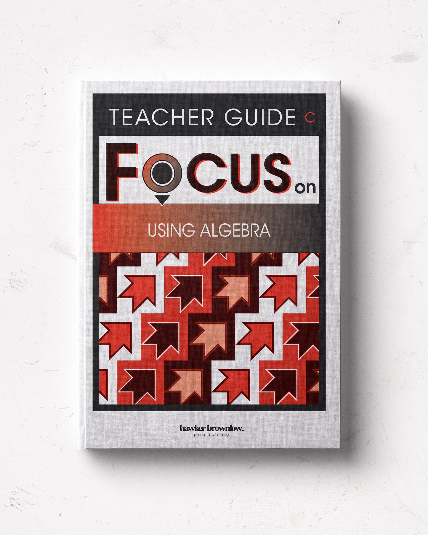 FOCUS on Mathematics: Level C (Using Algebra) Teacher Guide