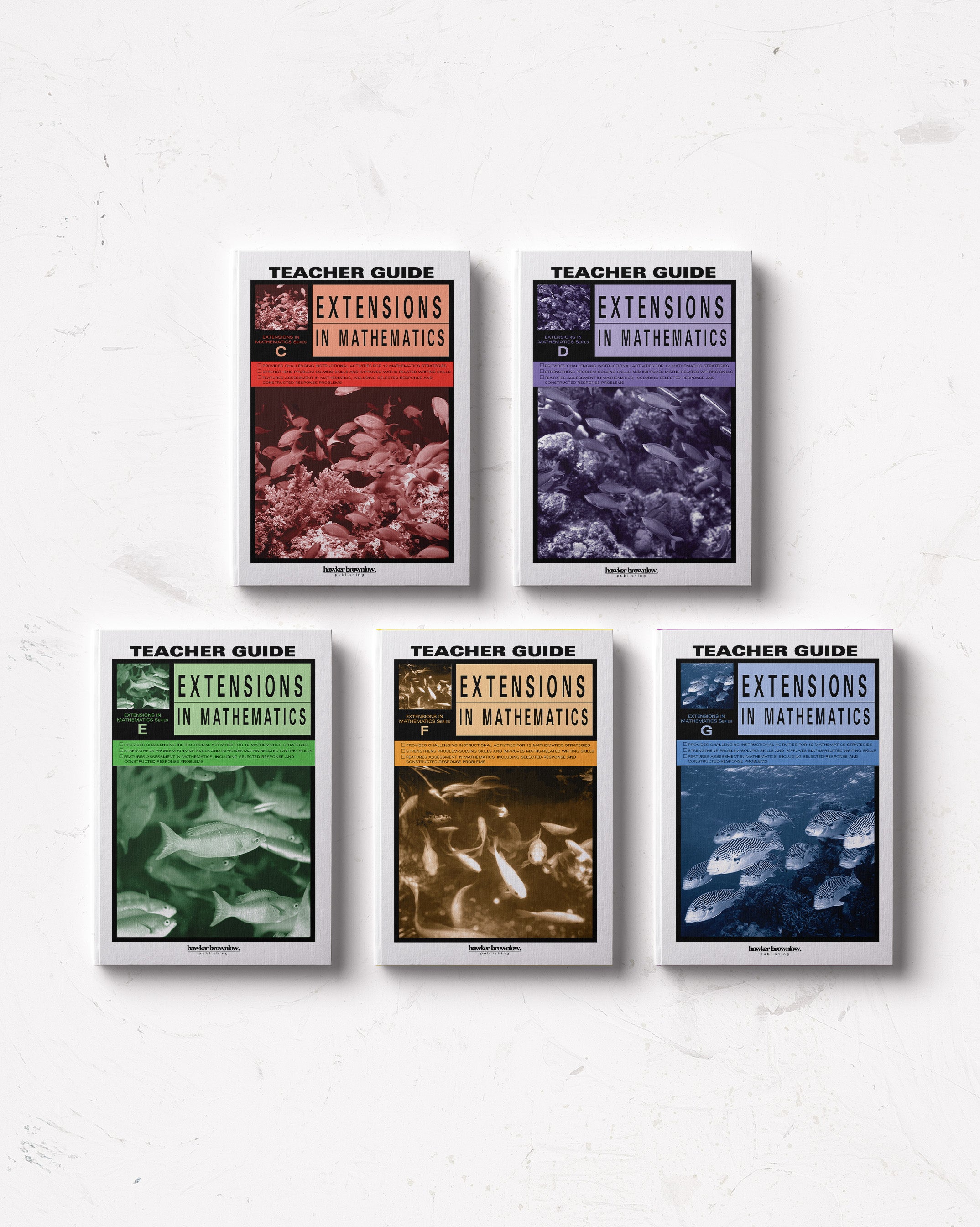 Extensions in Mathematics: Teacher Mixed Pack C-G – Hawker Brownlow ...