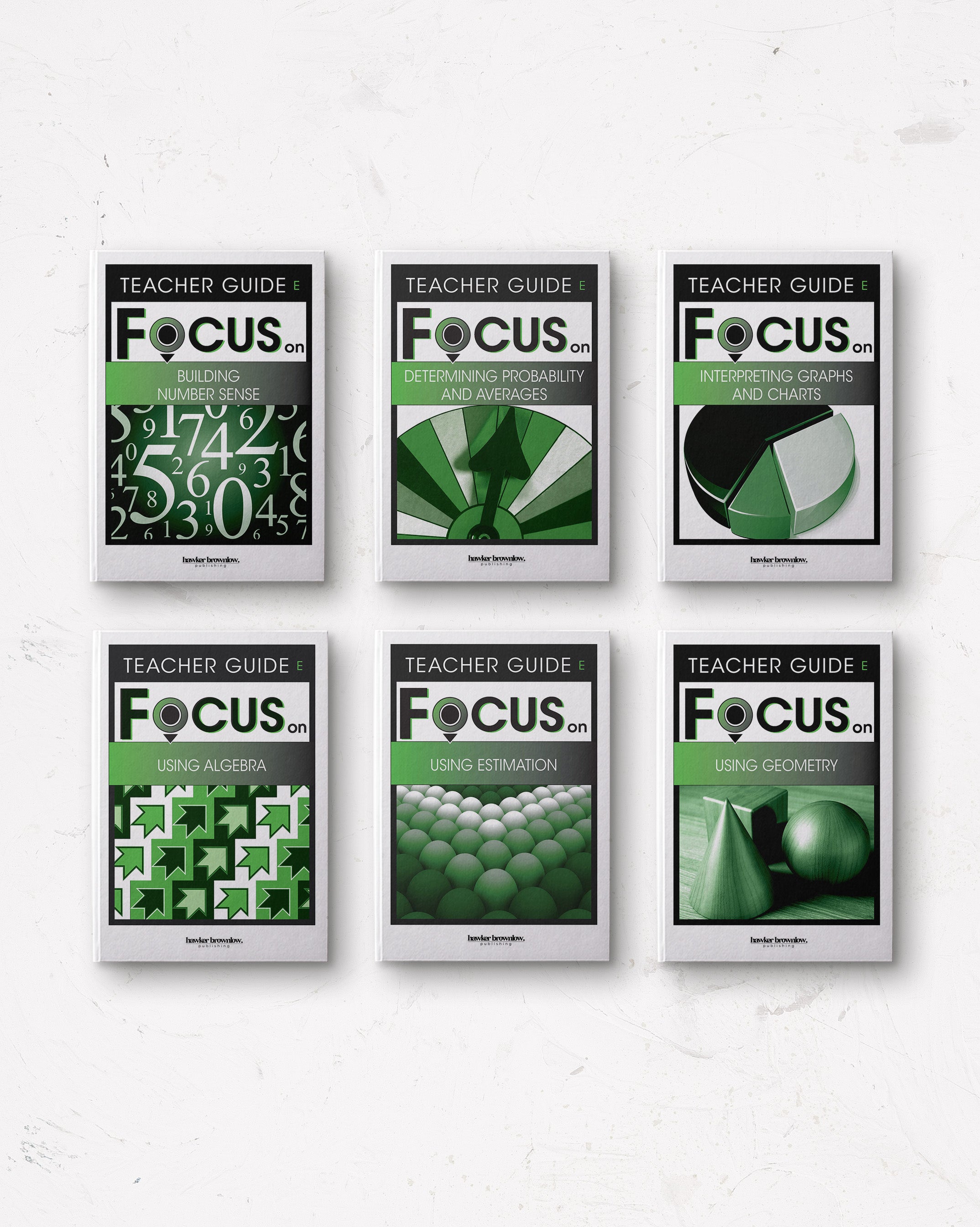 FOCUS on Mathematics: Level E Teacher Guides (Complete Set of 6 ...