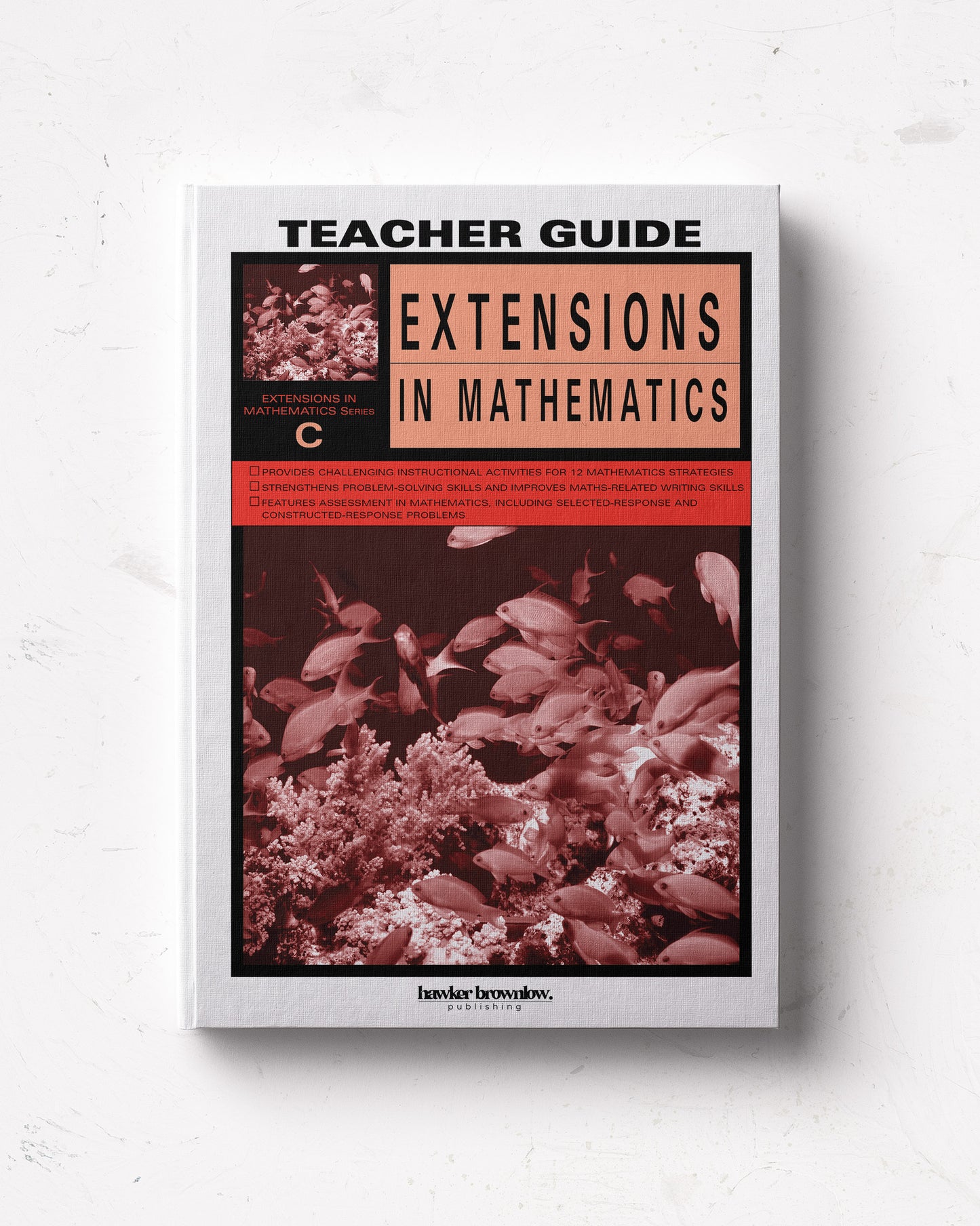 Extensions in Mathematics: Level C Teacher Guide